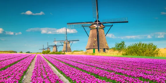 Kinderdijk’s iconic 18th-century windmills