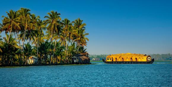backwaters in alleppey, kerala