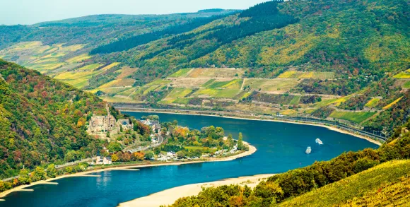 Castle on Rhine Gorge