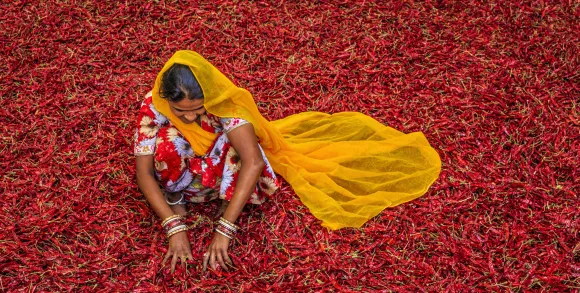 Spices of India