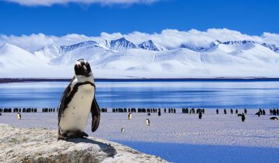 Antarctica